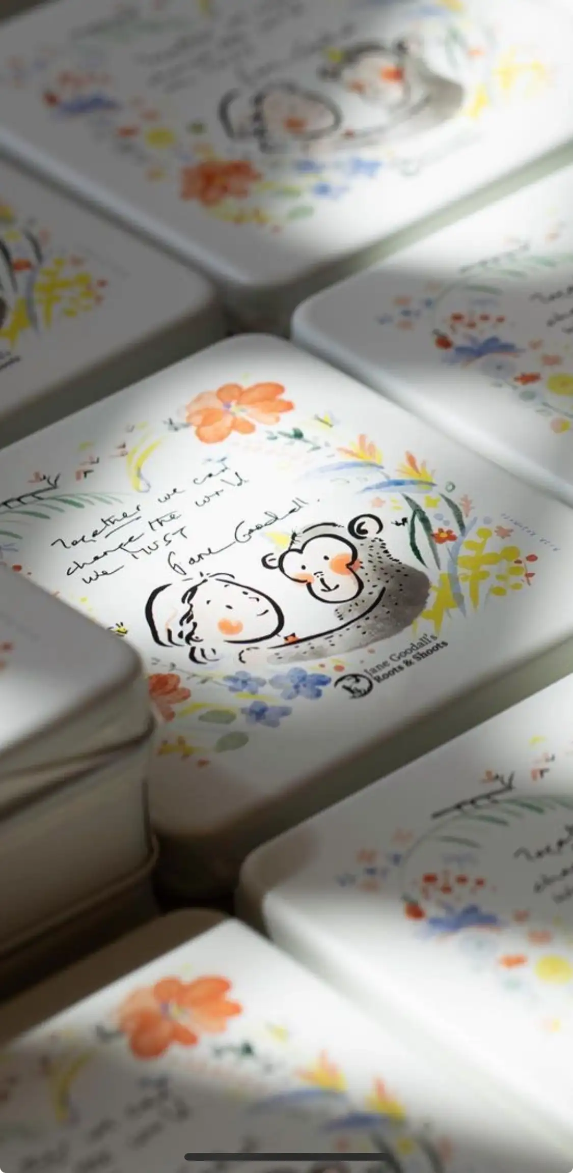 Jane Goodall cookie tin illustration by Risa Kusumoto
